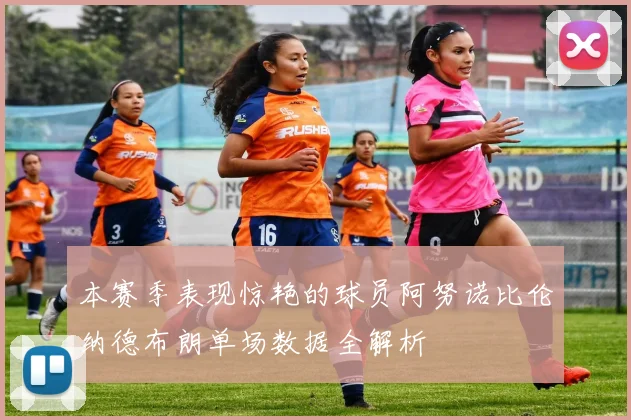 本赛季表现惊艳的球员阿努诺比伦纳德布朗单场数据全解析