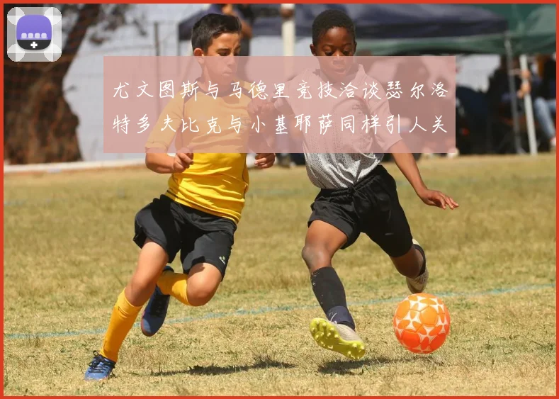 尤文图斯与马德里竞技洽谈瑟尔洛特多夫比克与小基耶萨同样引人关注