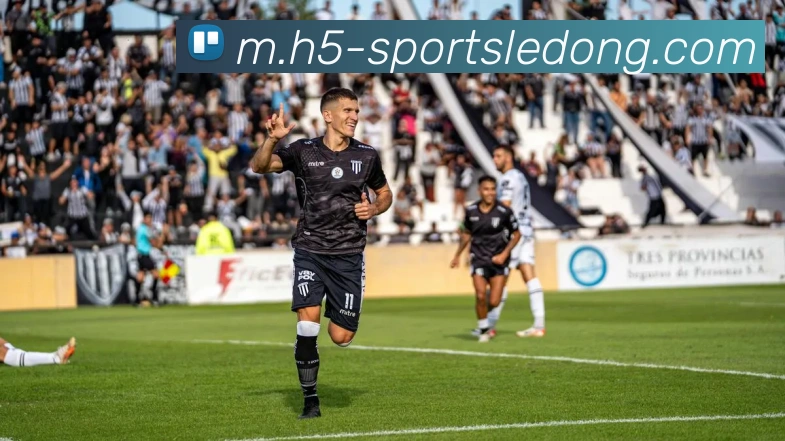 乐动体育平台生态图